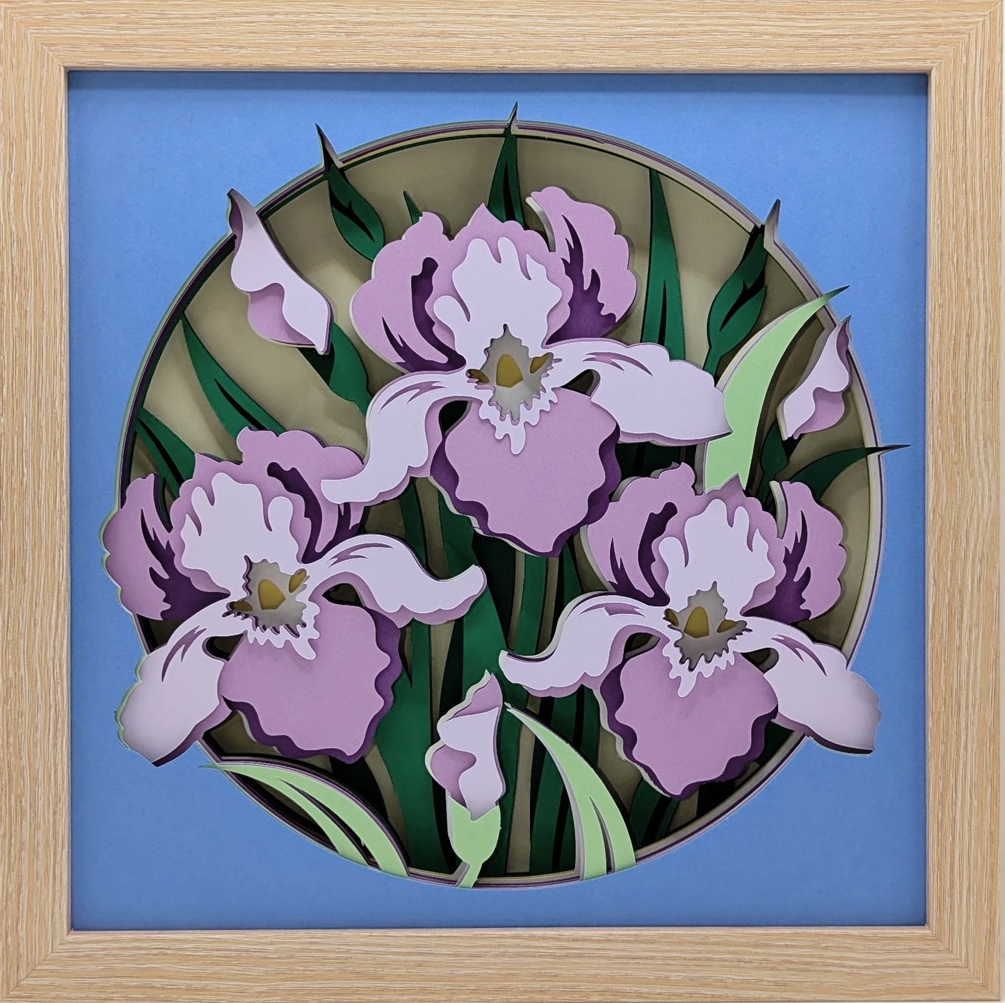Irises Shadow Box