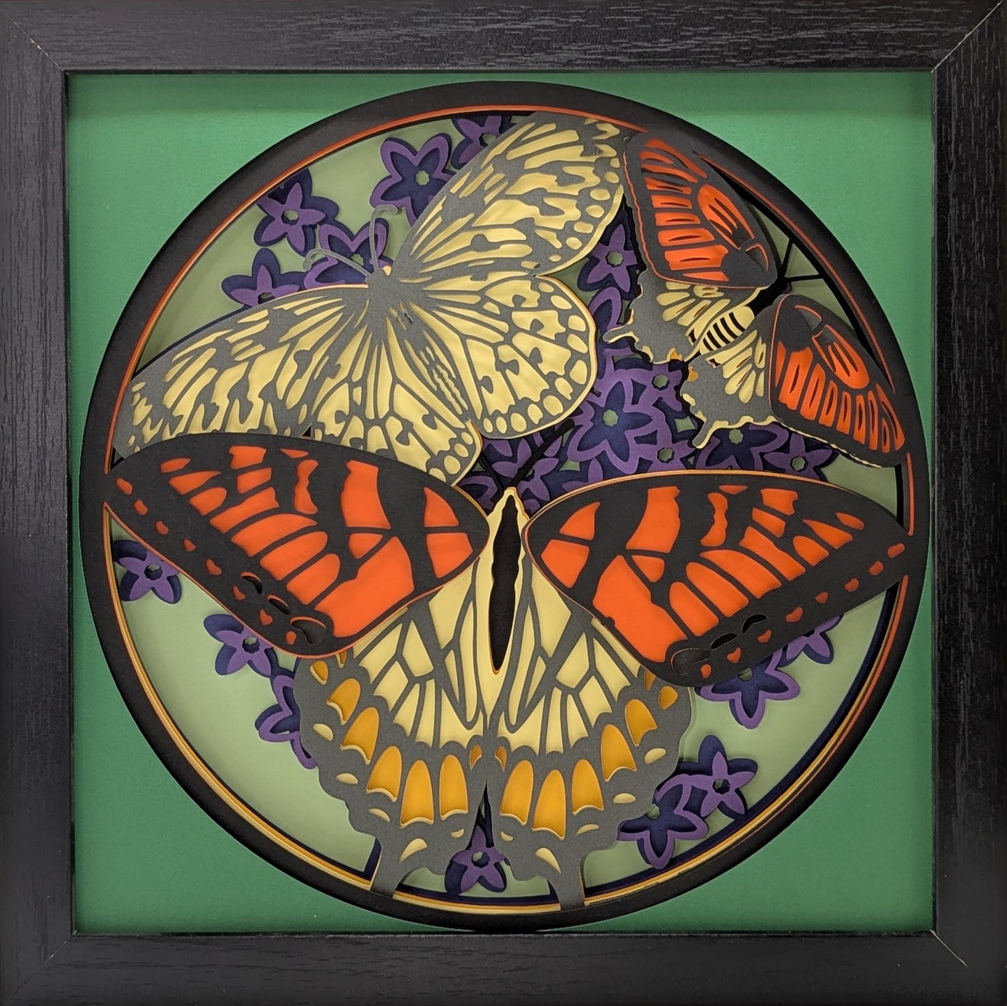 Butterflies Shadow Box