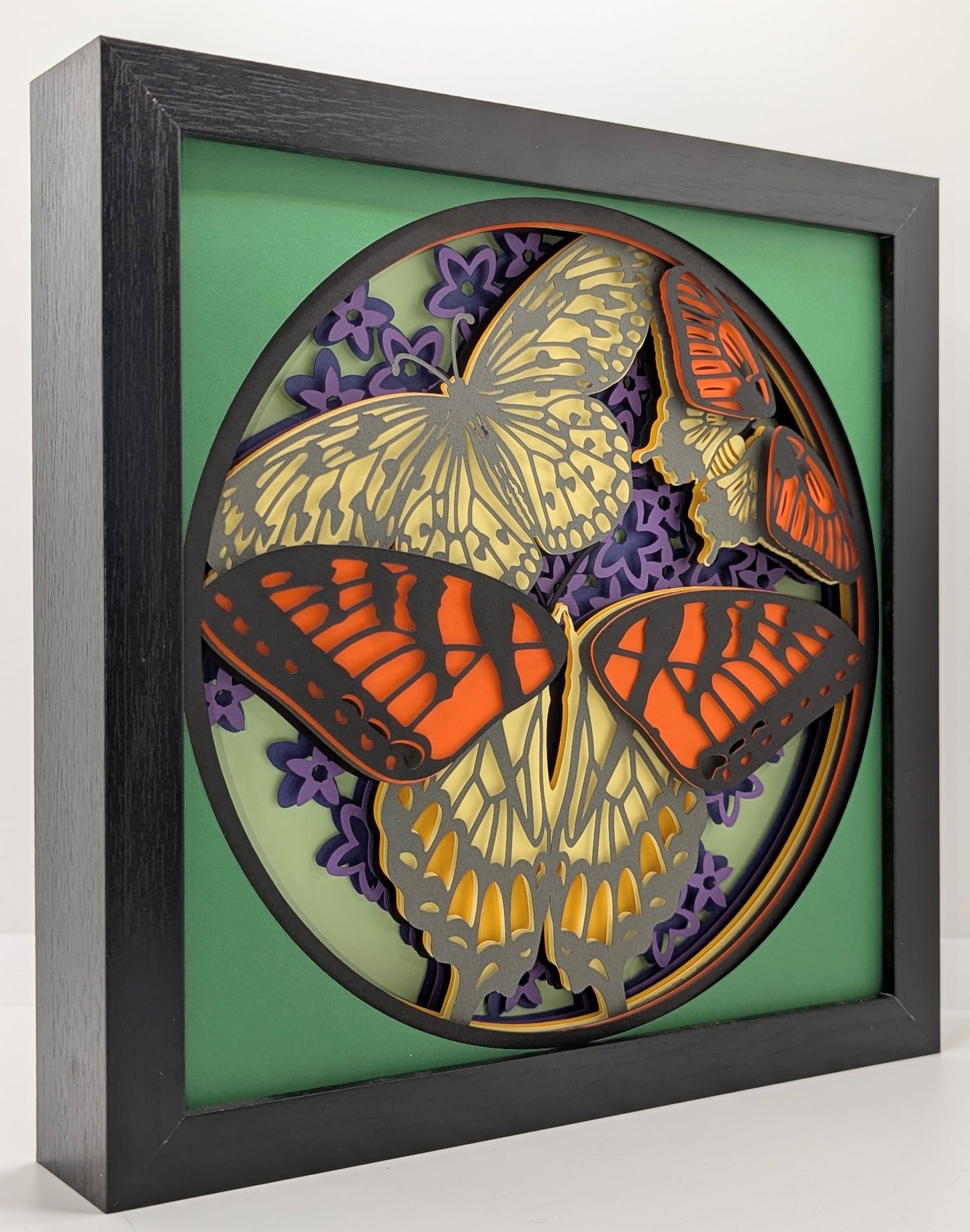 Butterflies Shadow Box
