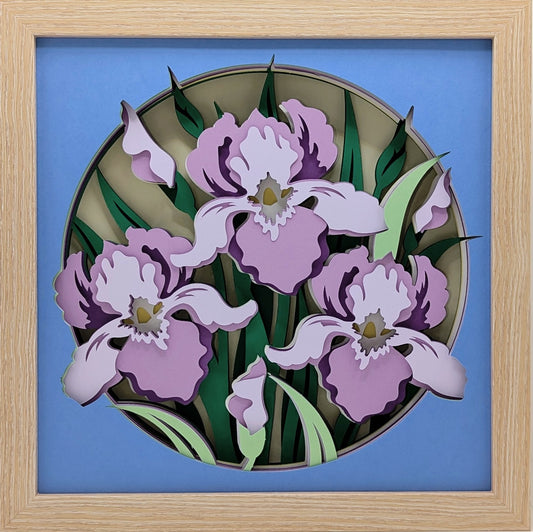 Irises Shadow Box