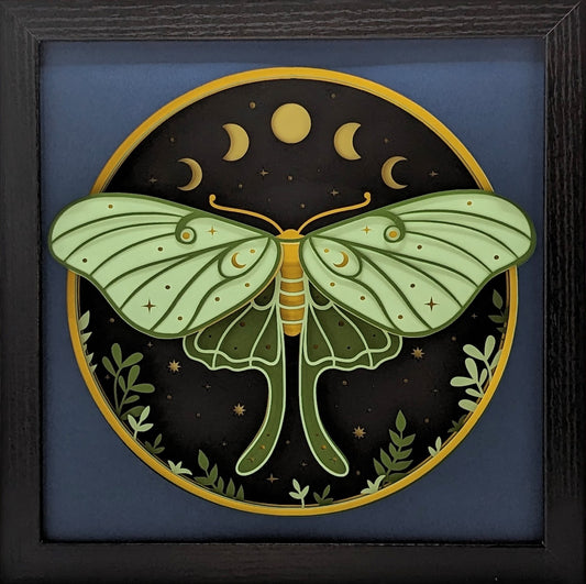 Luna Moth Shadow Box