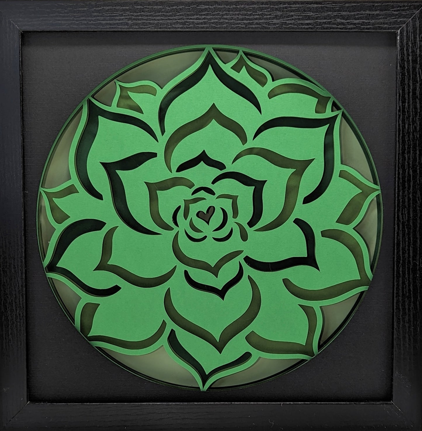 Succulent Plant Shadow Box